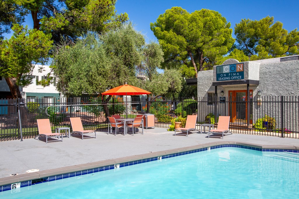 A pool area with chairs and a tree.