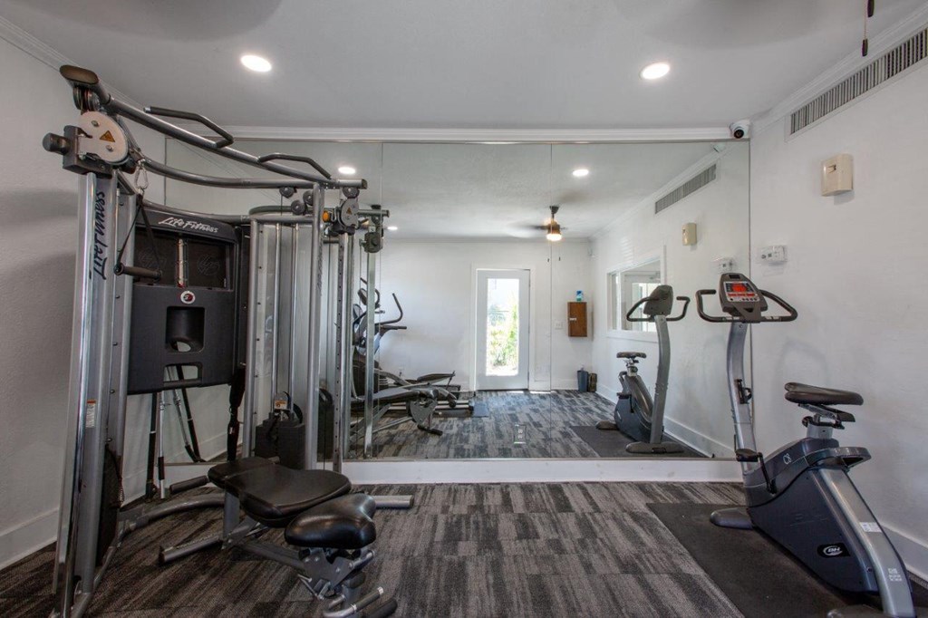A well-equipped home gym with a variety of exercise machines.
