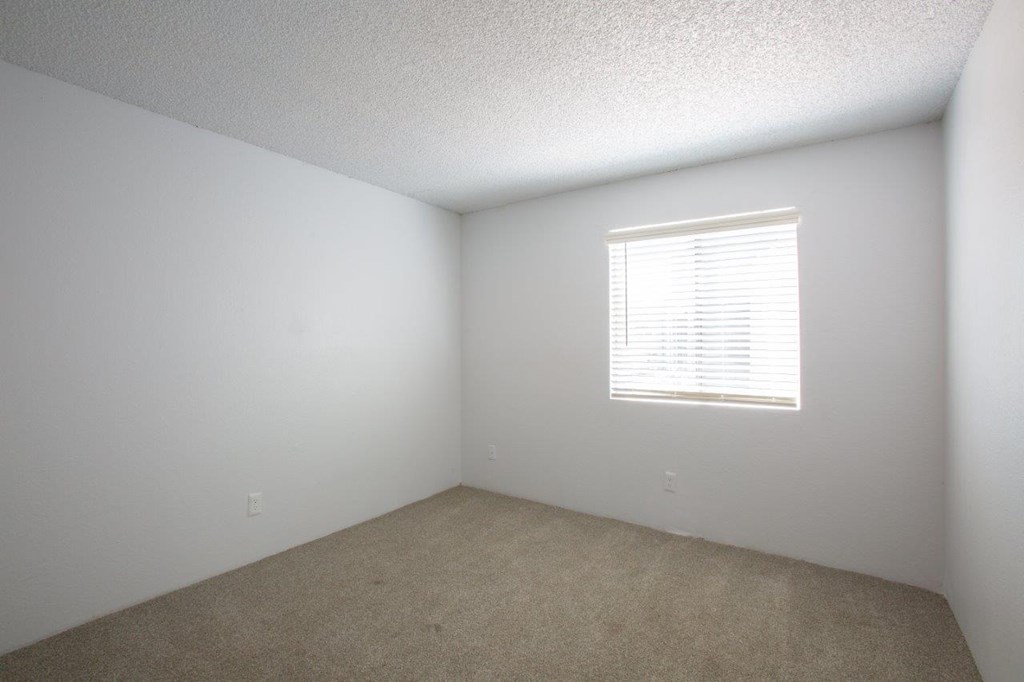 A room with a window and carpeted floor.