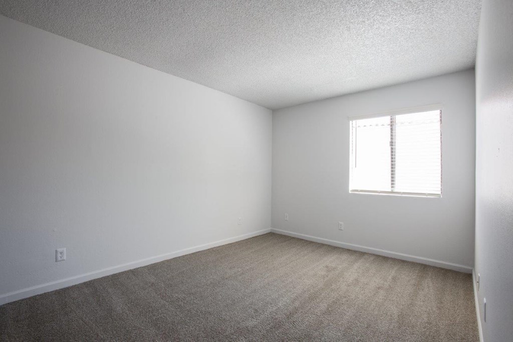 A room with a window and carpeted floor.