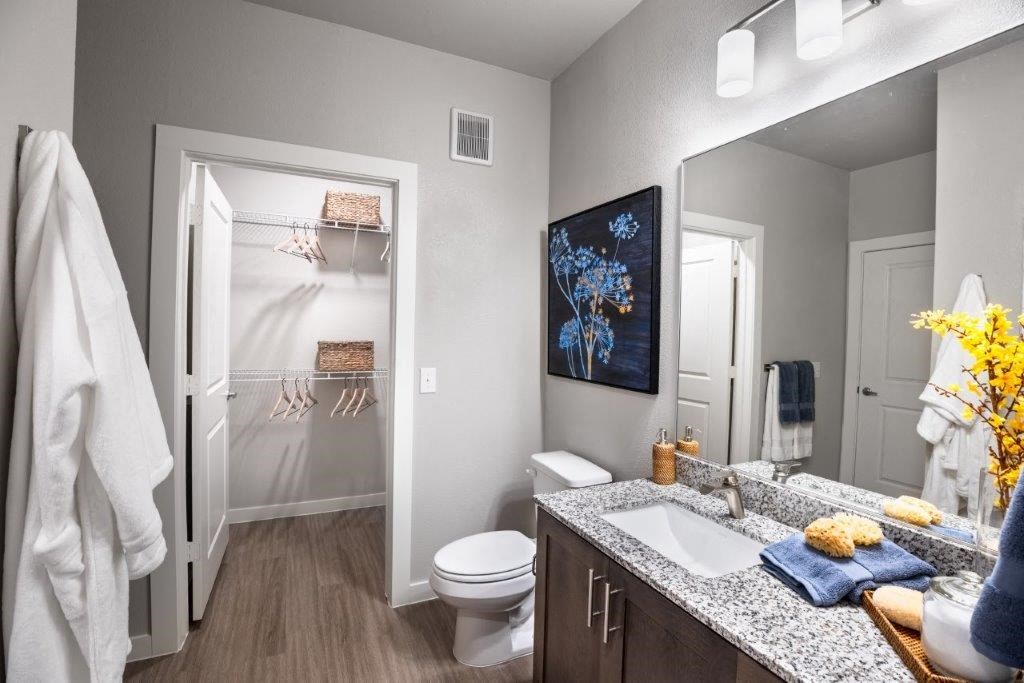 a bathroom with a sink and a toilet and a shower