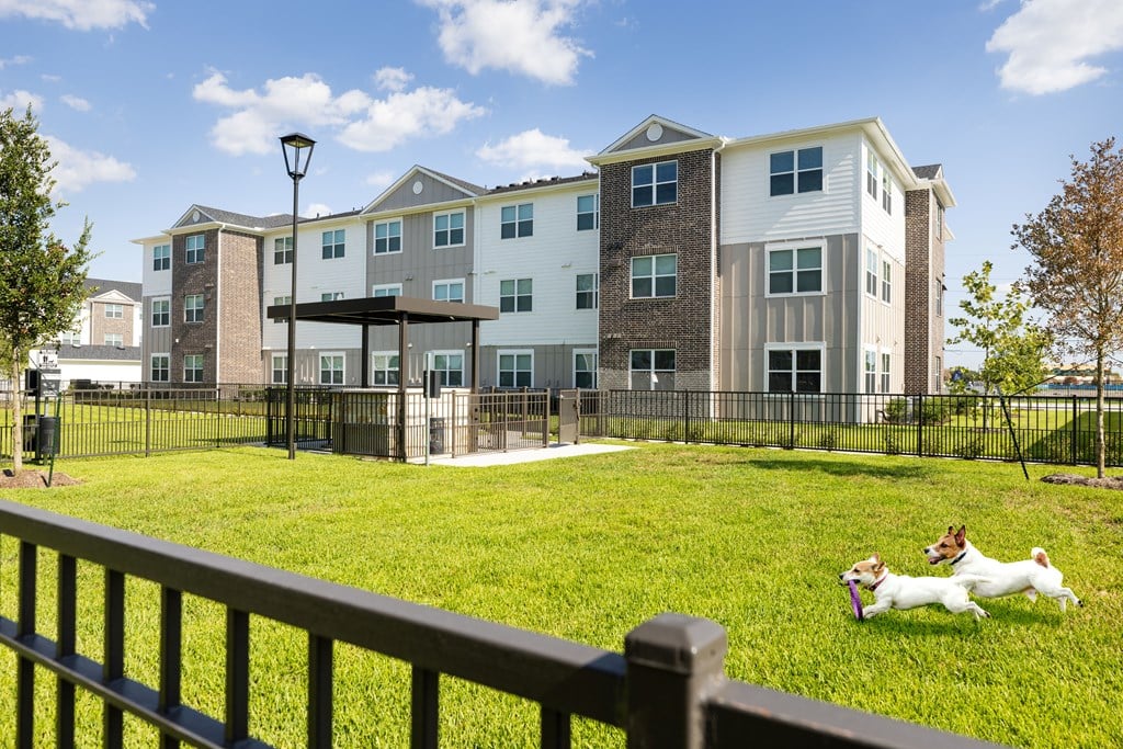 our apartments offer a spacious living room