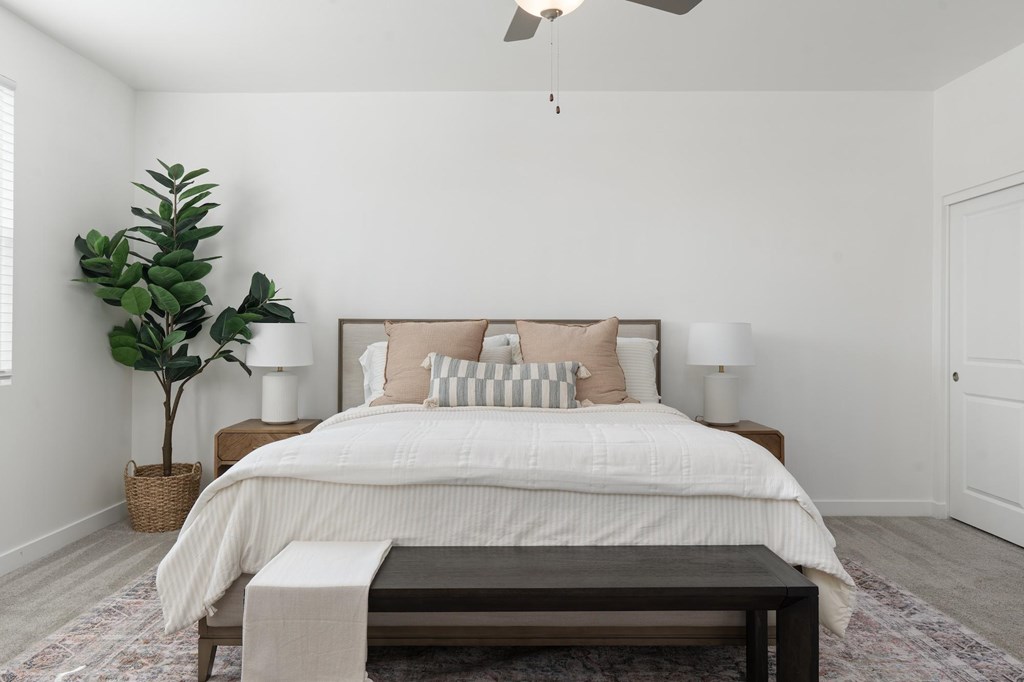 A bedroom with a large bed, a plant, and a ceiling fan.