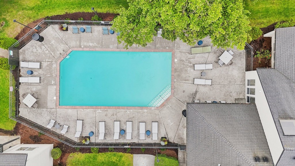 An aerial view of a swimming pool surrounded by lounge chairs and trees.