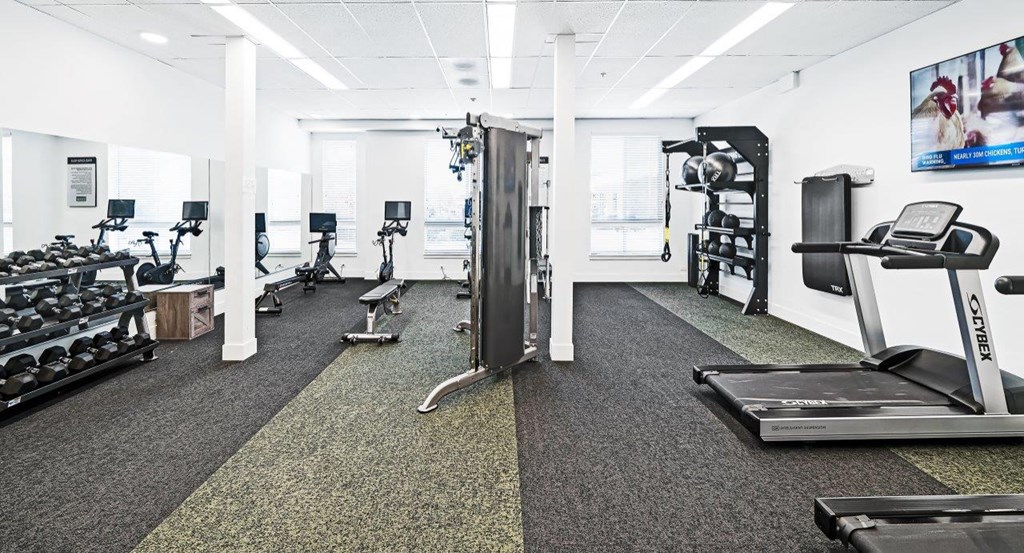 a gym with cardio equipment and weights on the floor