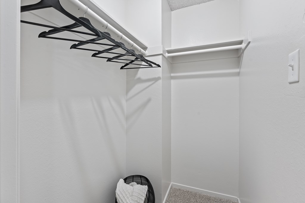 A white closet with a shelf and a hanger.