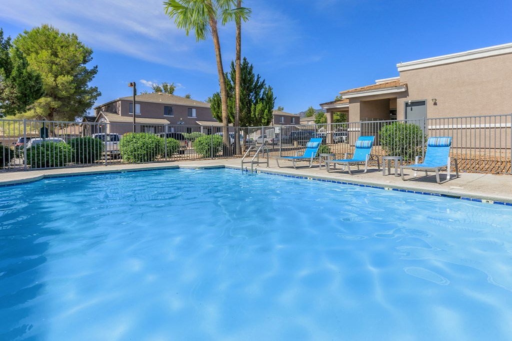 A swimming pool with blue water and a palm tree in the background.