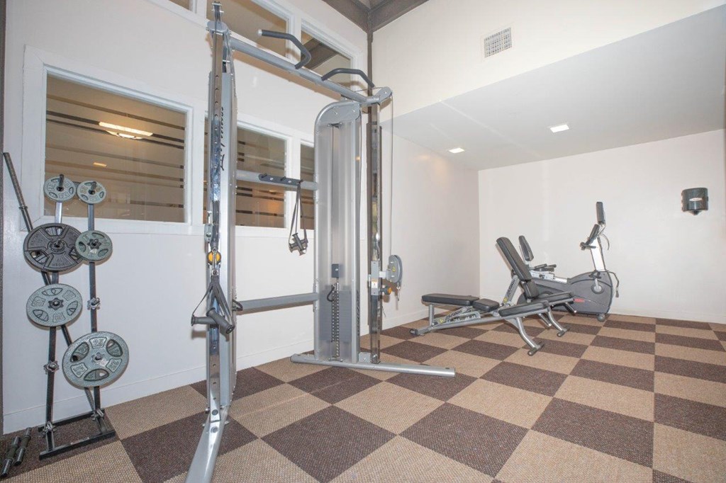 A home gym with a squat rack, bench, and weights.