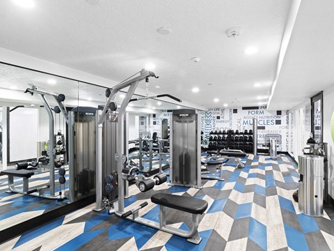 Proximity Apartment Homes Fitness Center with equipment