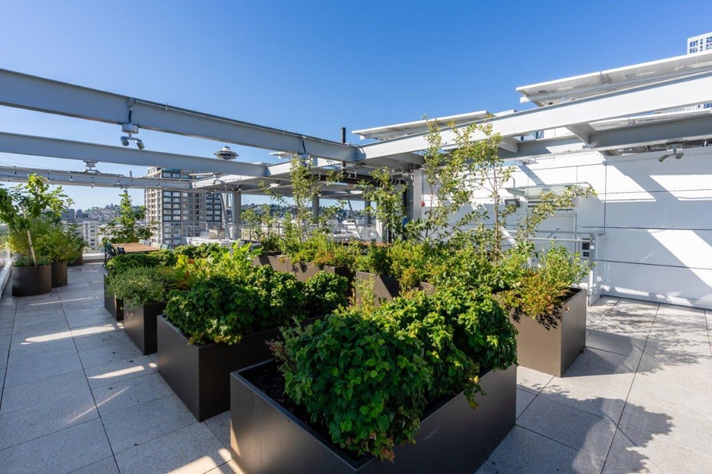 3ZERO3 New Apartments in Seattle, Washington Rooftop Patio with Planters