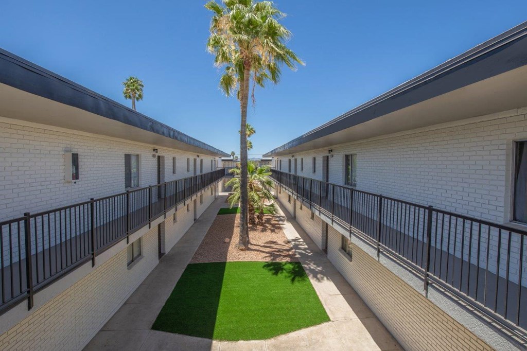 A long balcony with a palm tree in the middle.
