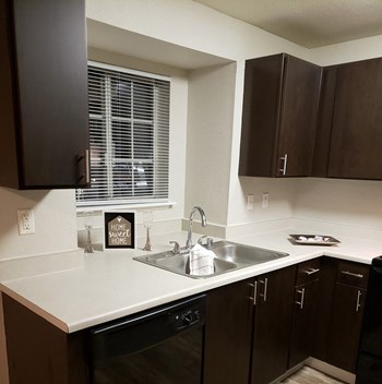 Ridgegate Apartments Kitchen Sink and Cabinets - Photo Gallery 2