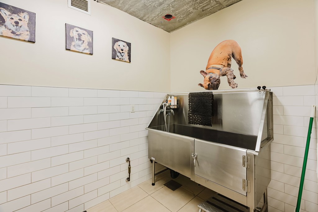 A dog grooming station with a picture of a dog on the wall.