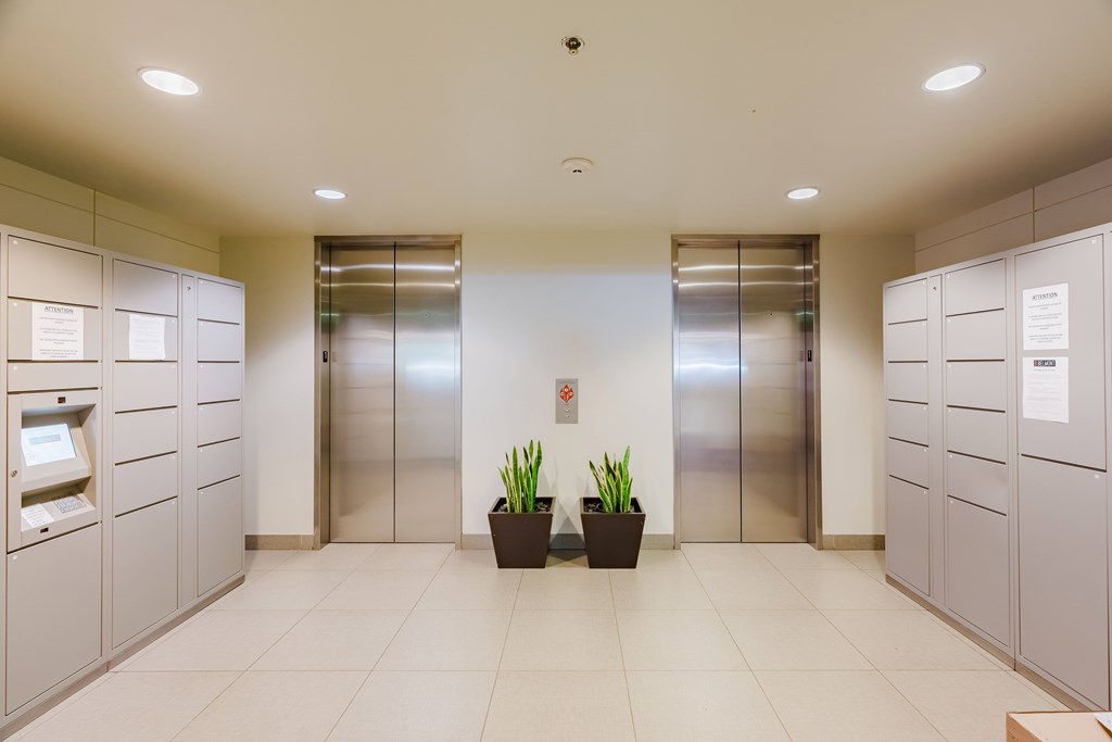 A hallway with two elevators, a plant, and secured package lockers.