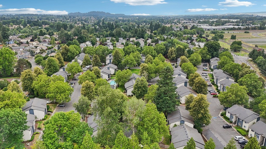 A bird's eye view of a residential area with houses and trees.