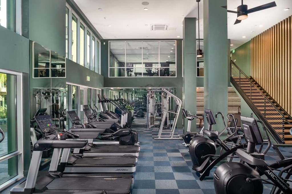 a gym with cardio machines and weights on a checkered floor
