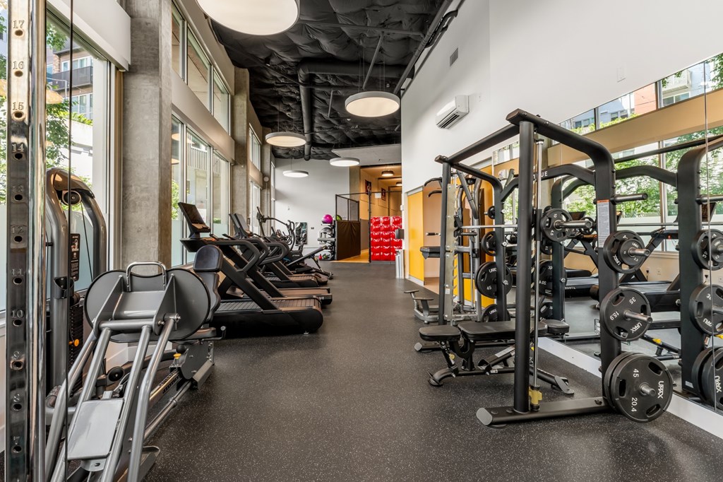 A gym with treadmills, weights, and exercise equipment.
