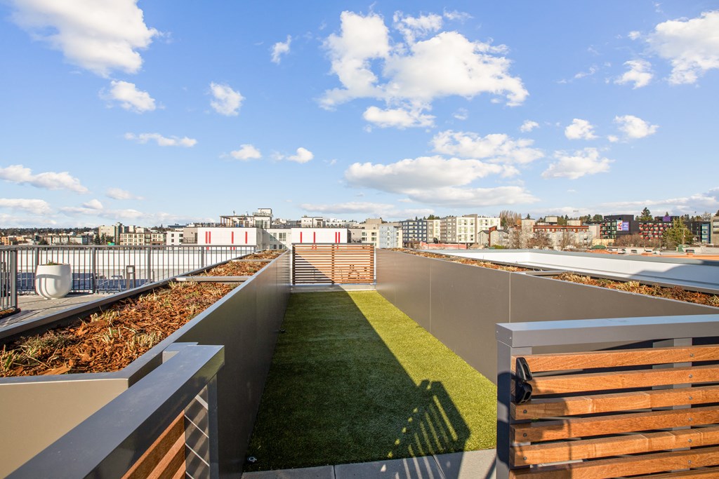 a roof terrace with grass and a view of the city