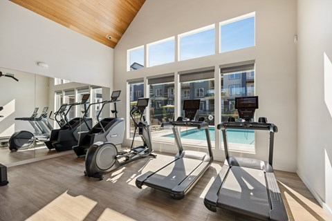 A gym with treadmills, elliptical machines, and a mirrored wall.
