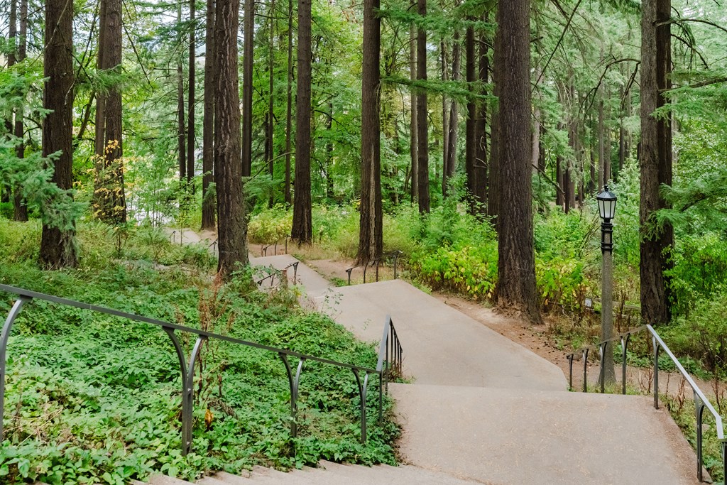 A forest path with a lamp post on the side.