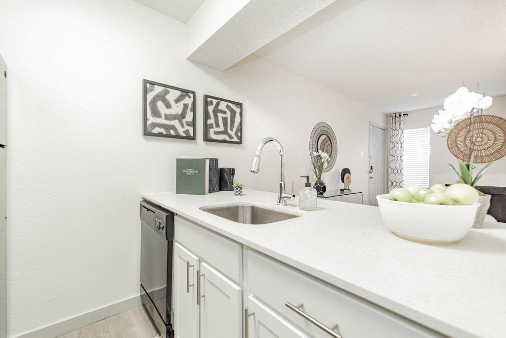 a white kitchen with a sink and a dishwasher