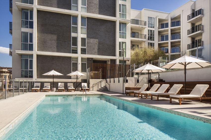 Apartments in Hollywood CA - The Fifty Five Fifty - Sparkling Pool Surrounded by Lounge Seating Apartments in Hollywood CA - The Fifty Five Fifty - Sparkling Pool Surrounded by Lounge Seating - Photo Gallery