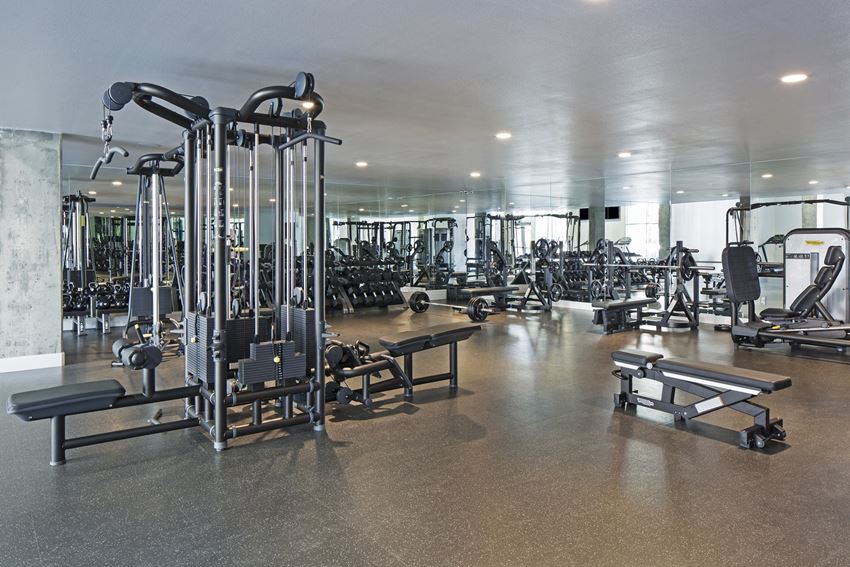 Hollywood CA Apartments - The Fifty Five Fifty - Fitness Center with Exercise Equipment Hollywood CA Apartments - The Fifty Five Fifty - Fitness Center with Exercise Equipment - Photo Gallery