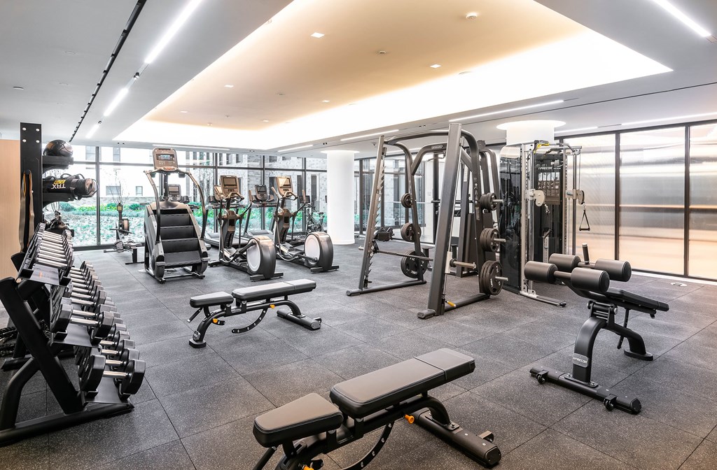 A spacious gym with a variety of equipment including treadmills, weights, and benches.
