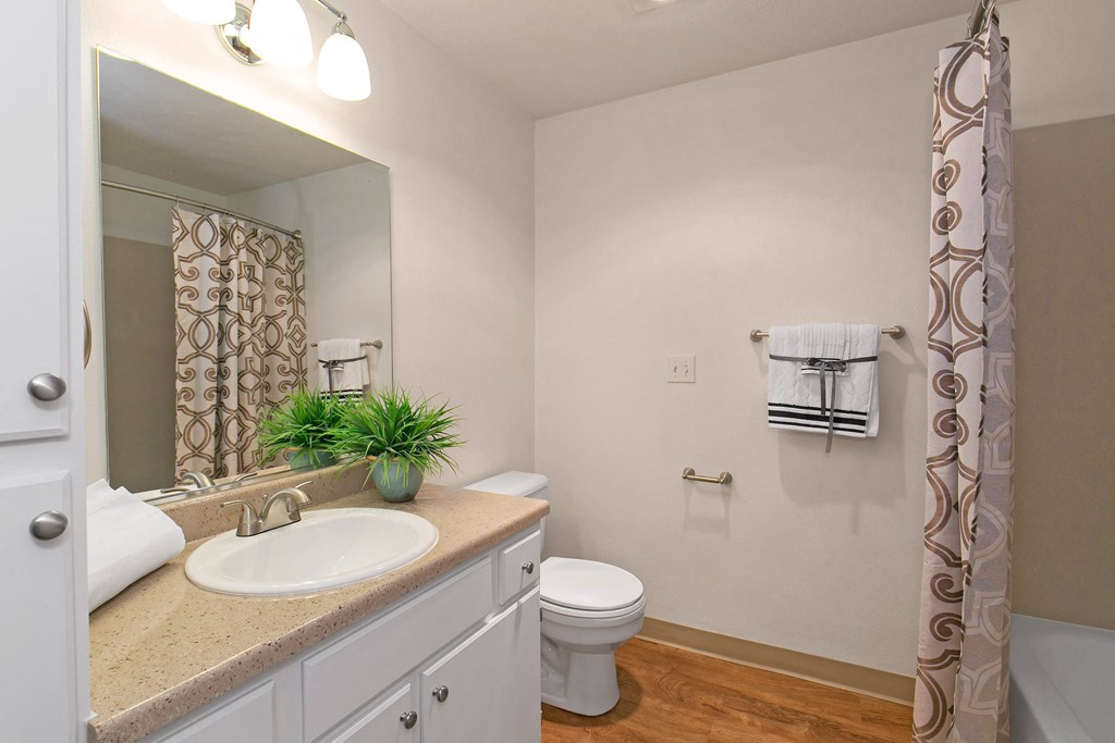 a bathroom with a sink toilet and a mirror