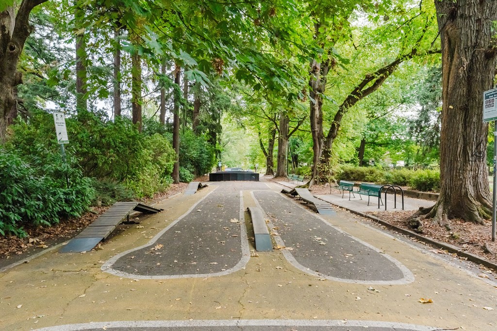 A tree-lined path with a split in the middle.