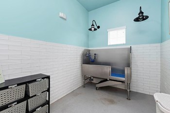 Prelude at Paramount Apartments Pet Wash - Photo Gallery 20