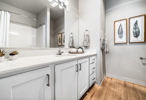 EvergreenVillageDeltaRidge_Eugene_OR_Int_MainBath_1