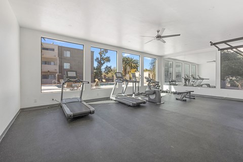 A spacious home gym with treadmills, elliptical machines, and a fan.