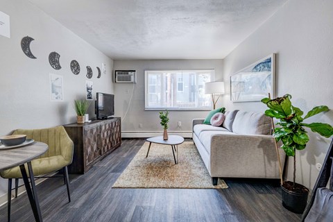 Forest Manor Apartments Model Living Room