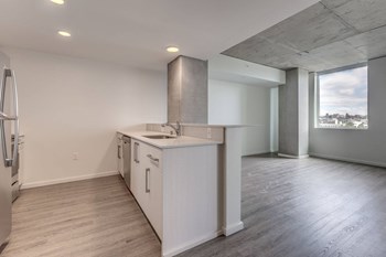 The Danforth Apartments Model Kitchen and Living Room - Photo Gallery 6
