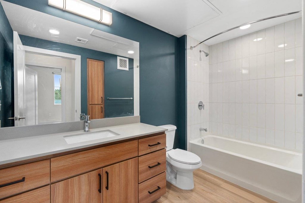 a bathroom with a sink and a toilet and a tub