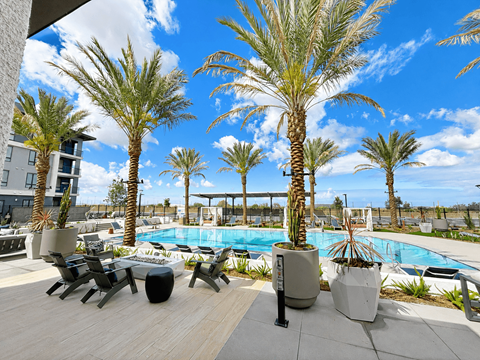 A pool surrounded by palm trees and sun loungers.