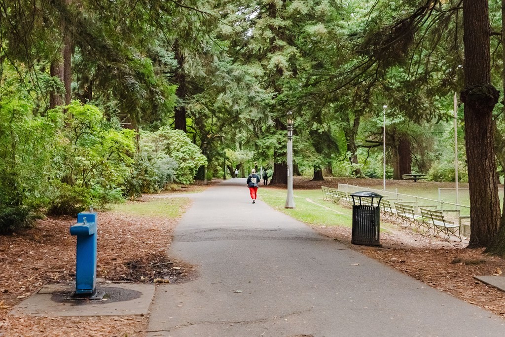 A blue fire hydrant sits on a sidewalk in a park.