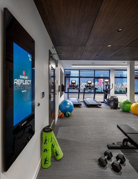 A gym with a screen on the wall that says Echelon Reflect.
