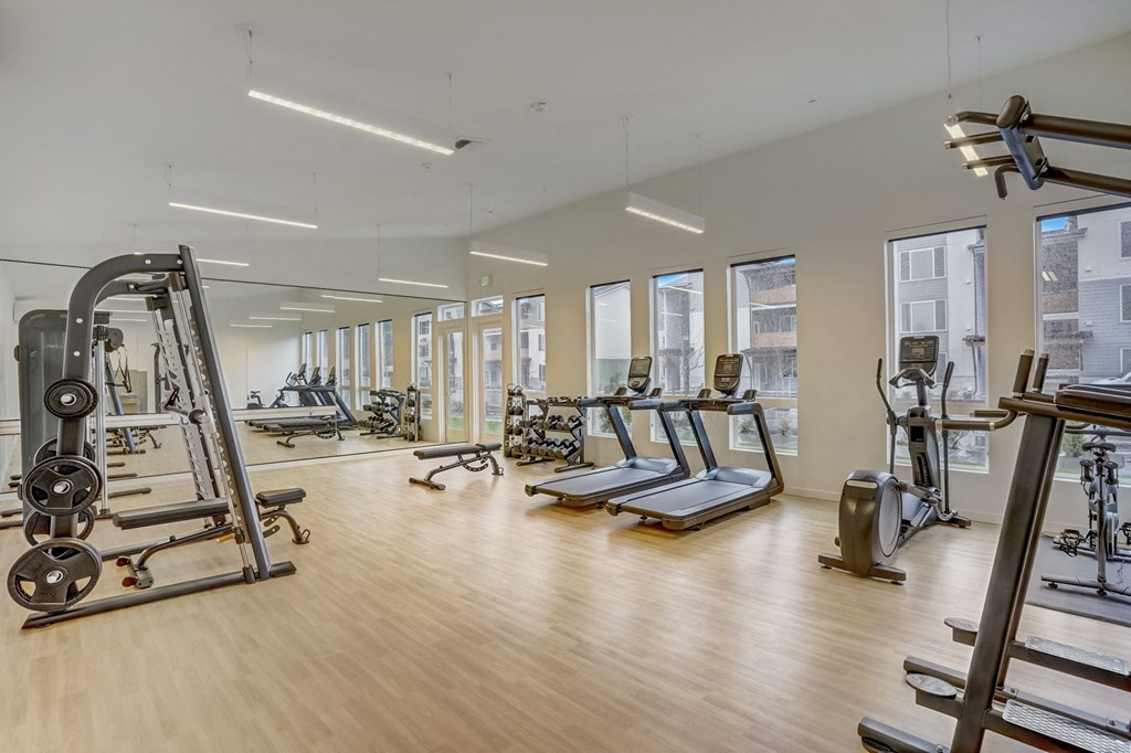a gym with treadmills and other exercise equipment and windows