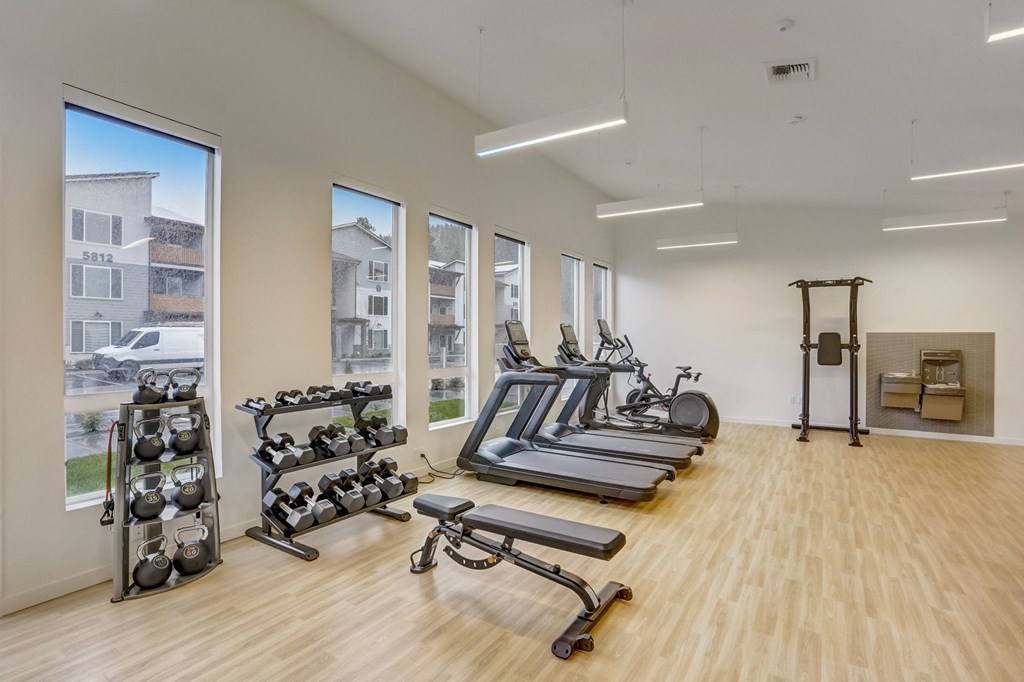 the gym with treadmills and weights and windows