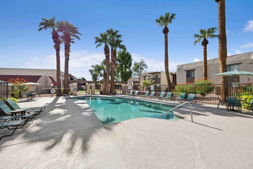 Madera at Metro Pool and Palm Trees