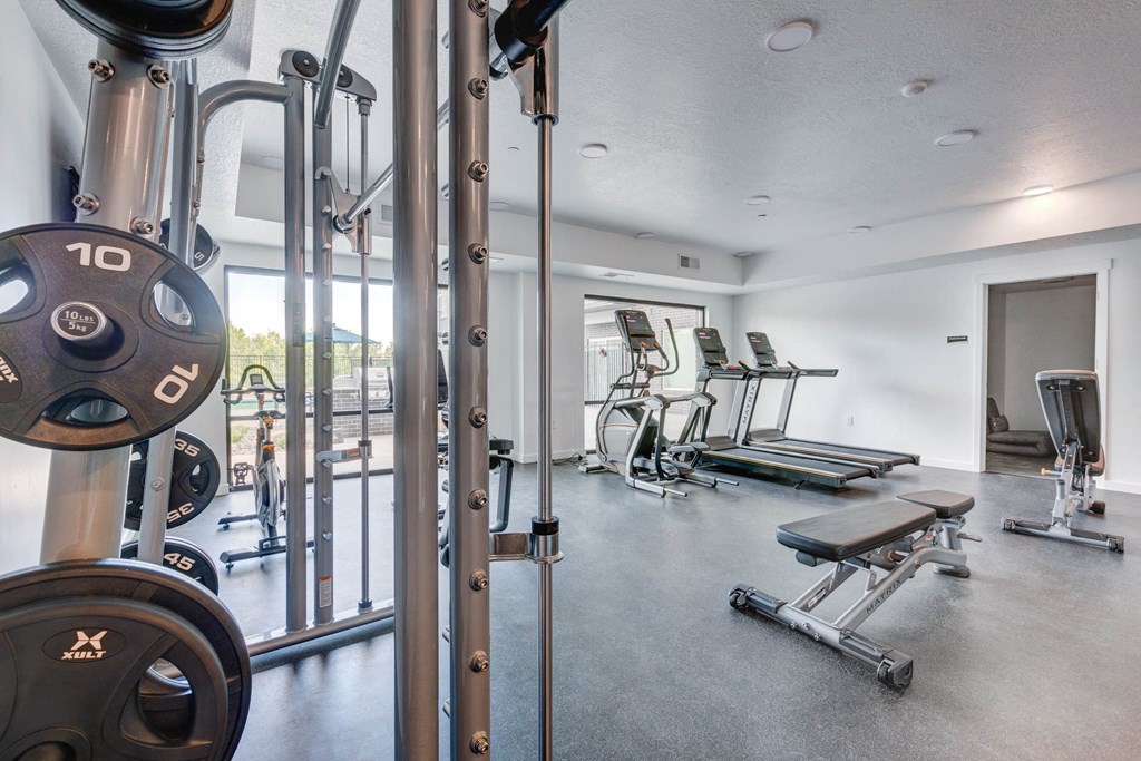 the gym is equipped with cardio equipment and weights