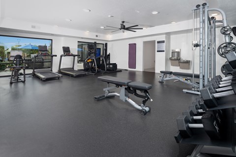 A spacious gym with a variety of equipment including treadmills, weights, and a bench press.