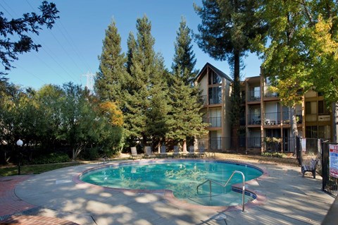 Atrium Downtown swimming pool Apartments in Walnut Creek CA