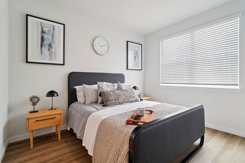 Solace At Rainier Ridge