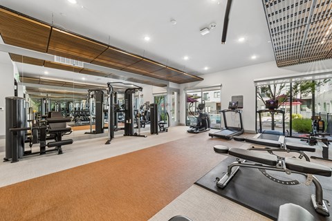 A gym with a variety of equipment including treadmills, weights, and exercise machines.