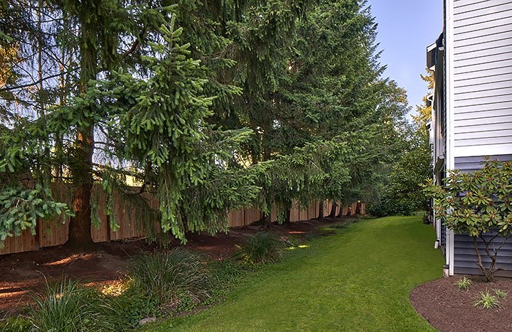 The Lakehouse Apartments Exterior of Grounds and Large Trees