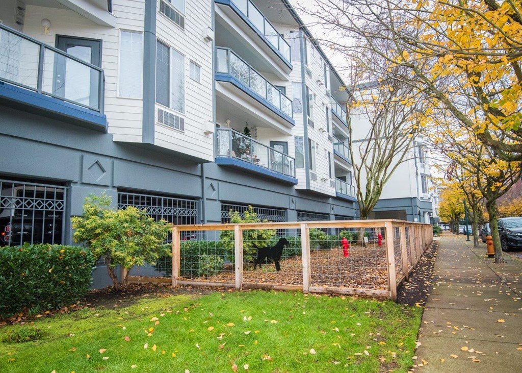 a dog runs in a fenced in area in front of an apartment building