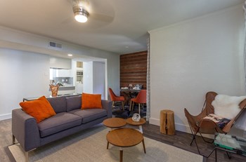 Retreat at Barton Creek Model Living Room - Photo Gallery 26